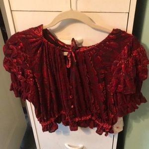 Free People red velvet blouse